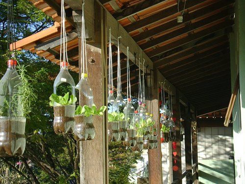 Huertas verticales hechas con botellas de plástico Huerta1