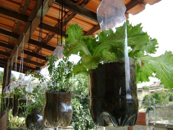 Huertas verticales hechas con botellas de plástico Huerta2